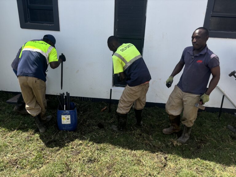 Pest Control service delports