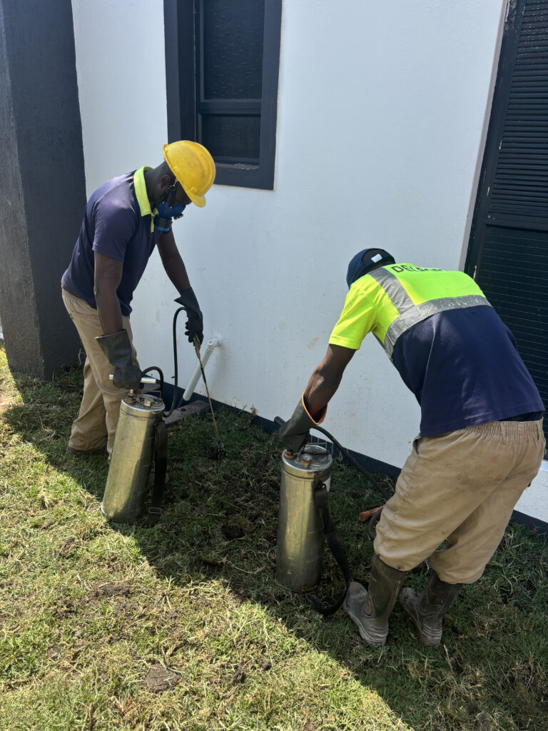 Specialised termite treatment for a property development in Harare facing severe infestations due to improper soil treatment before construction. Termite treatment for property development with soil fumigation in Harare.
