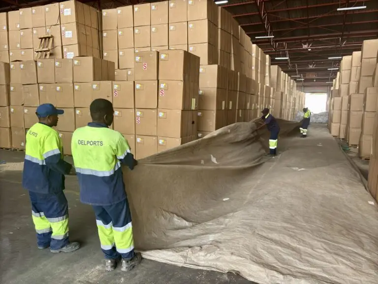 Delports’ safety-trained professionals, in high-visibility branded uniforms, meticulously remove recyclable tarpaulins from fumigated tobacco stacks following CORESTA guidelines. This ensures safe and efficient ventilation, preparing the export-ready cartons for the next supply chain phase at Ceva Logistics warehouse in Harare. Delports Pest Control Team Safely Removing Recyclable Tarpaulins Post-Fumigation at Ceva Logistics Warehouse in Harare