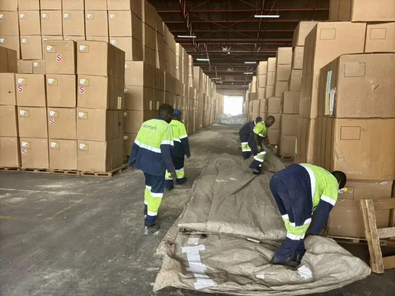Delports’ safety-trained professionals, in high-visibility branded uniforms, meticulously remove recyclable tarpaulins from fumigated tobacco stacks following CORESTA guidelines. This ensures safe and efficient ventilation, preparing the export-ready cartons for the next supply chain phase at Ceva Logistics warehouse in Harare. Delports Pest Control Team Safely Removing Recyclable Tarpaulins Post-Fumigation at Ceva Logistics Warehouse in Harare